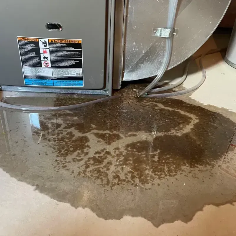 Appliance Leak Cleanup in Mount Pleasant, SC